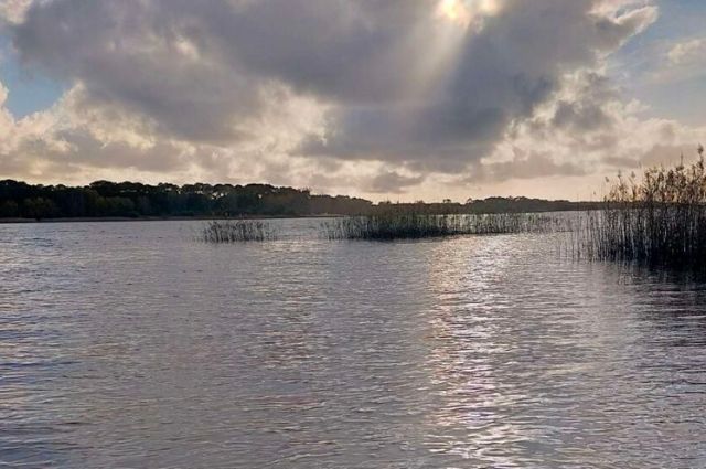 Après l'océan, profitez du calme du lac de Cazaux à bord de votre camping-car